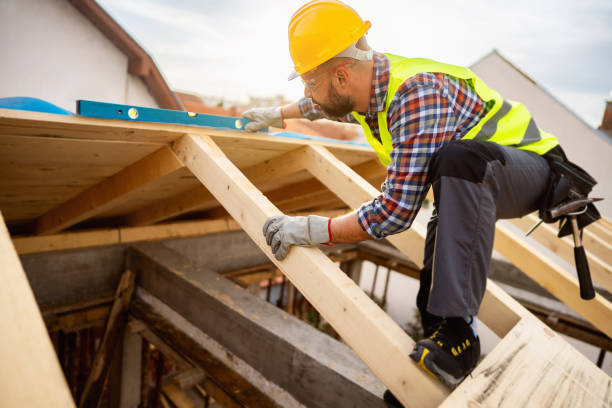 Best Roof Gutter Cleaning  in Sistersville, WV