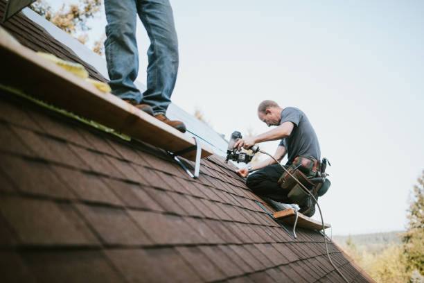 Best Roof Restoration Services  in Sistersville, WV